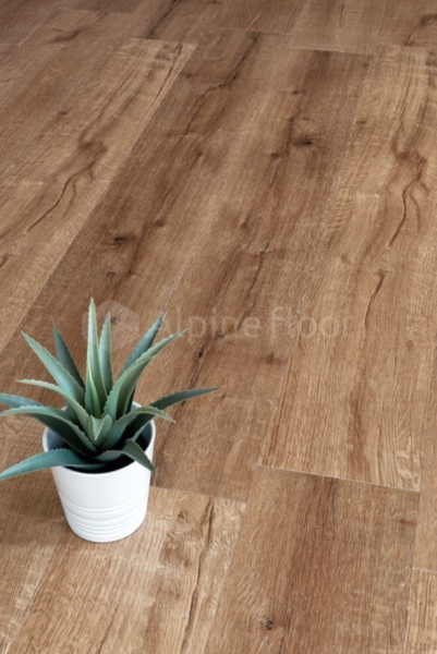Кварцвиниловая плитка Alpine Floor Натуральное дерево (Real Wood) Дуб Royal Синхронное тиснение ECO 2-1